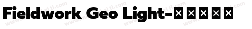 Fieldwork Geo Light字体转换